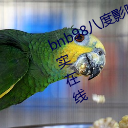 bnb98八度影院免費歐美亞洲精品真實在線