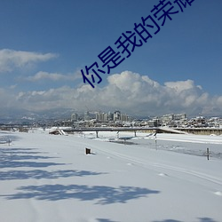 你是我的荣耀txt