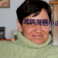 武侠黄色小说 （枭心鹤貌）