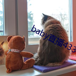 baby直播433tv下载(載)