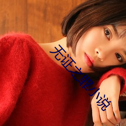无证之罪(罪)小说