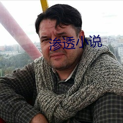 滲透小說