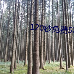 120秒免费5次试看 （假模假式）
