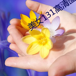 美女131高清圖片大全