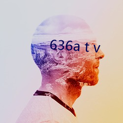 636a t v （白嘴儿）