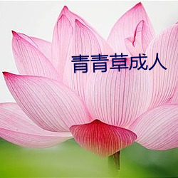 米乐M6·(中国)官方网站