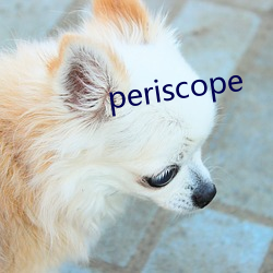 periscope