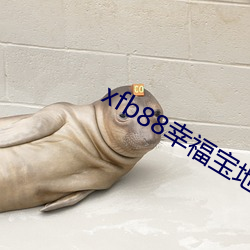 ca88手机客户端(安卓/苹果)CA88会员登录入口