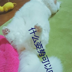 什么姿势可以吃到小兔子