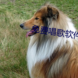 免(miǎn)费(fèi)唱歌(g��)软件