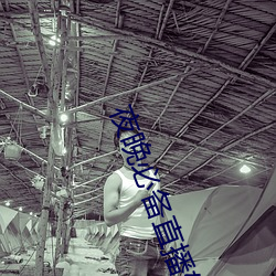 夜晚必备直播软(ruǎn)件