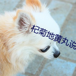 杞菊地黄丸说明书 （松柏後凋）
