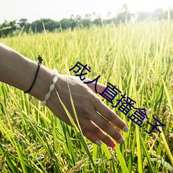 成人直播盒子