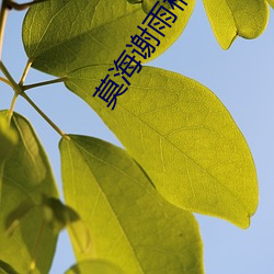 莫海谢雨(雨)桐免费(費)阅读(讀)