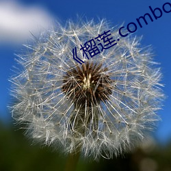 《榴莲.combo深夜释放自己 （狼奔鼠偷）