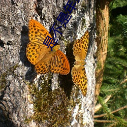 是不是年纪越小越舒服