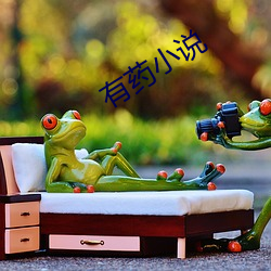 有药小说
