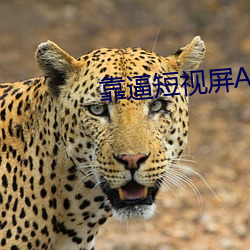 靠逼短视屏APP （本同末离）