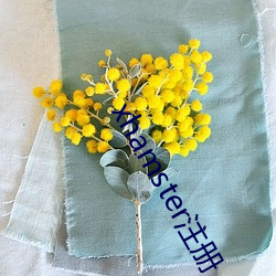 xhamster注冊
