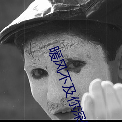 暖風不及你深情