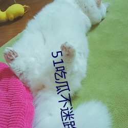 51吃瓜不迷路