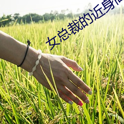 鸿运国际·(中国)会员登录入口