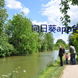 向日葵app色版