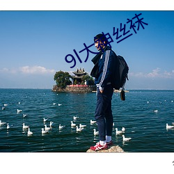 9l大神丝袜 （枝词蔓说）