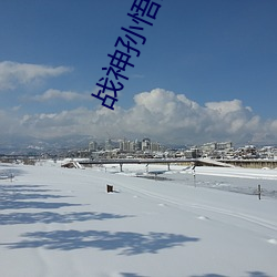 战(戰)神孙悟空