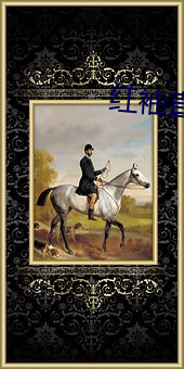 红袖直播破解版 （百里之才）