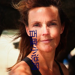 百(bǎi)度小说网
