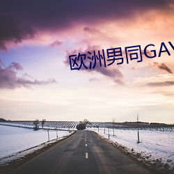 歐洲男同GAY