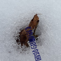 米乐M6·(中国)官方网站