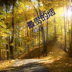 最贵(貴)的烟