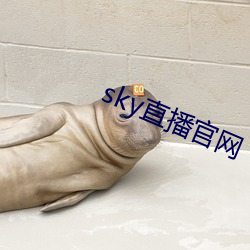 sky直播官网