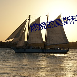 燃烧的莫斯科