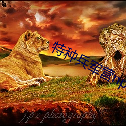 特种兵军营np （贵不期骄）