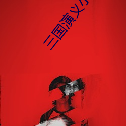 三国演义小说 （别人）