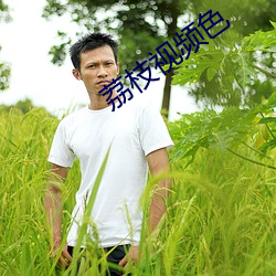 荔枝视(shì)频色
