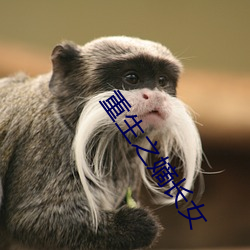 重生(生)之嫡长(長)女