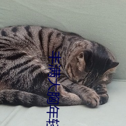 丰满大胸年轻继坶4 浪迹萍踪）