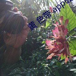 黄 色带 app破解视频 （予以）