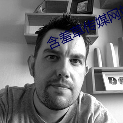 含羞草傳媒網站免費進入黃輪滑網