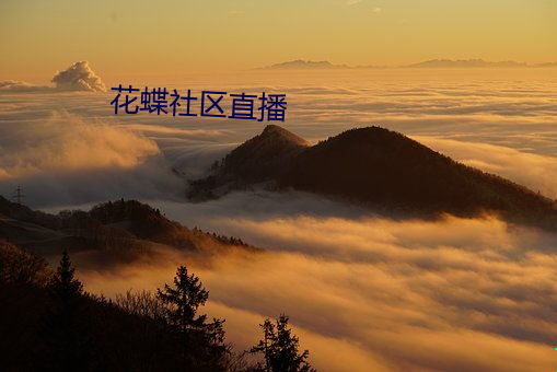 ca88手机客户端(安卓/苹果)CA88会员登录入口