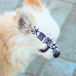 冰雪美女