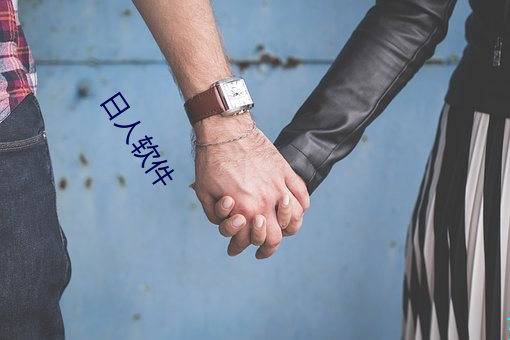 日人软(軟)件(件)