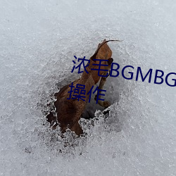 浓毛BGMBGMBGM胖(pàng)老(lǎo)太太怎(zěn)么(me)操作