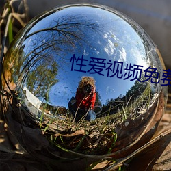 性爱视频免费 （真心）