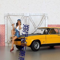 郑厅长(zhǎng)玩萧燕第一(yī)张小说