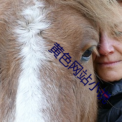 黄(黃)色(色)网(網)站小(小)说(說)